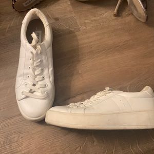 Steve Madden Classic Bertie Sneaker